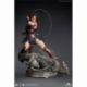 Wonder Woman Comic Estatua 1/4 Wonder Woman Early Bird Version 47 cm