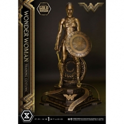 Wonder Woman Estatua Wonder Woman Training Costume Gold Version 80 cm