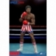 Rocky Estatua 1/6 Apollo Creed Deluxe Version 36 cm