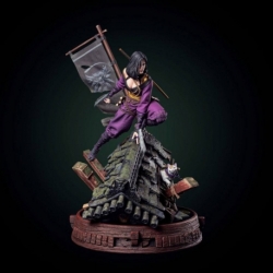 The Witcher Estatua Yennefer the Kunoichi Figure 50 cm