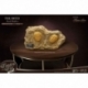 Wonders of the Wild Series Estatua 1/1 Trilobites Miniature Frame & Fossil 15 cm