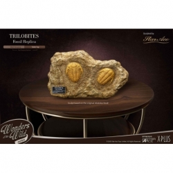 Wonders of the Wild Series Estatua 1/1 Trilobites Miniature Frame & Fossil 15 cm