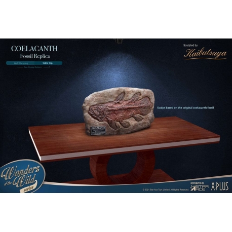 Wonders of the Wild Mini Réplica Coelacanth Fossil 32 cm