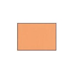 GAMECOLOR: PIEL DE ELFOS 17ml (caja 6 unid.)