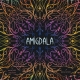 Abstract strategy board game Amygdala by Maldito Games