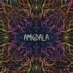 Abstract strategy board game Amygdala by Maldito Games