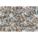 Mountain 90x60 - Square corner mat