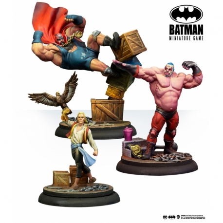 Bird & Wrestlers - Batman Miniature Game