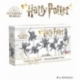 National Quidditch Team Expansion - Harry Potter: Catch the Snitch (Inglés)