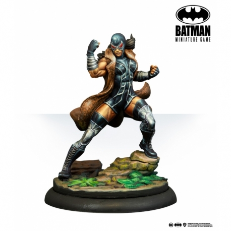 Vengeance - Batman Miniature Game