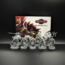 Bloodfields Blackland Orcs Starter Set (Inglés)