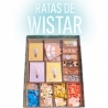 Insert Compatible with WISTAR RATS