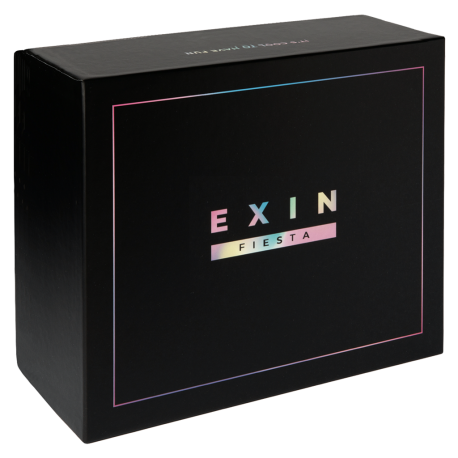Party game EXIN EXIN party