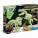Archeoplaying 2 in 1 T-Rex and Fluorescent Triceratops