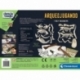 Archeoplaying 2 in 1 T-Rex and Fluorescent Triceratops