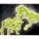 Archeoplaying 2 in 1 T-Rex and Fluorescent Triceratops