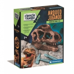Archeoplaying Skull Of The Great T-Rex