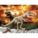 Archeoplaying The Skeleton Of The Great T-Rex 40Cm