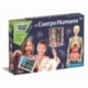 The human body