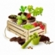 Kit De Jardineria