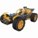 Mechanics Buggy And Quad