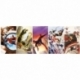 Puzzle 1000 Pieces Panoramic Marvel 80