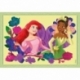 4 In 1 Puzzle Disney Princesses