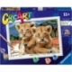 Creart Series D Classic - Lion Cubs