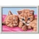 Creart Serie E Classic - Gatitos Amigos