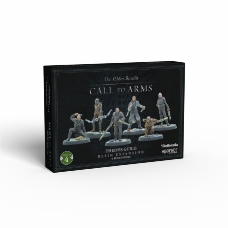 The Elder Scrolls CTA Thieves Guild (English)