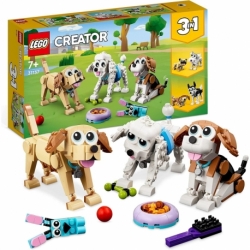 Adorable Dogs