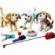 Adorable Dogs