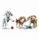 Adorable Dogs