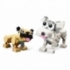 Adorable Dogs