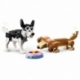 Adorable Dogs