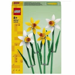 Daffodils.