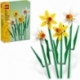 Daffodils.