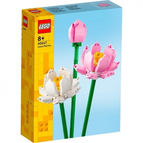 Lotus Flowers