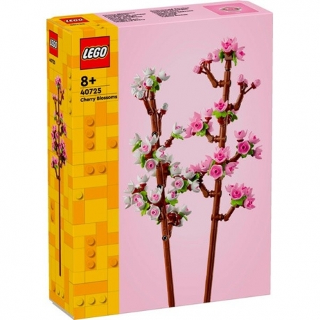 Cherry blossoms
