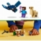 Steve's Desert Expedition