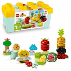 LEGO 10984 Organic Garden
