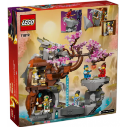 LEGO 71819 Dragon Stone Shrine