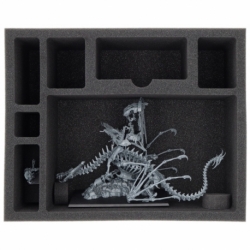Feldherr foam set for Tomb King / Liche Priest on Necrolith Bone Dragon