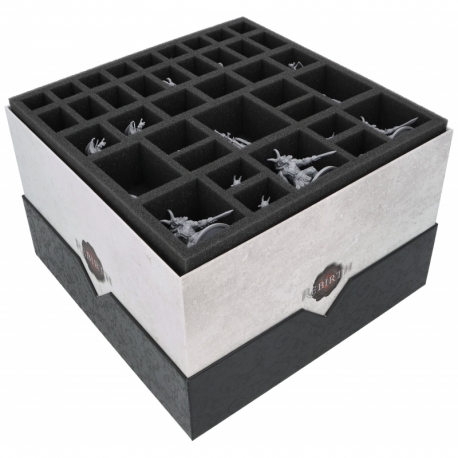 Feldherr foam insert for Black Rose Wars: Rebirth - core game box