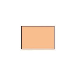 GAMECOLOR: PIEL CADMIO 17ml (caja 6 unid.)