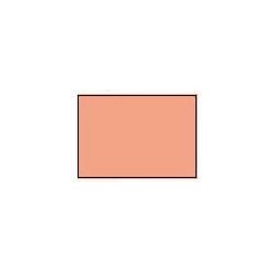 GAMECOLOR: CARNE ROSA 17ml (caja 6 unid.)