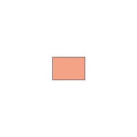 GAMECOLOR: CARNE ROSA 17ml (caja 6 unid.)