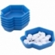 1 box bundle SHELL 6 pcs value pack