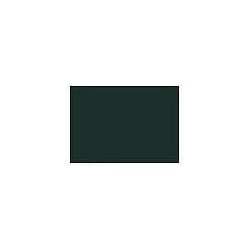 GAMECOLOR EXTRA: GRIS CARBÓN DENSO 17ml (caja 6 un
