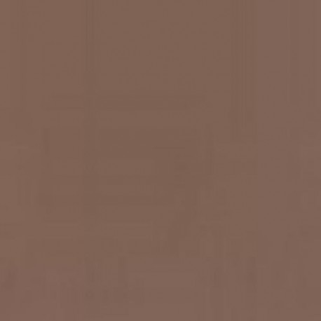 Pintura 843 Modelcolor Cajita 6 Marron Corcho